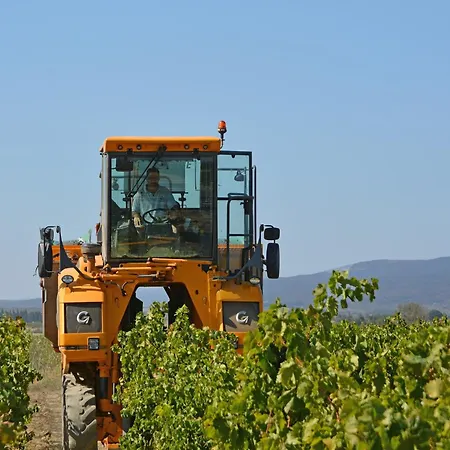 Near Carcassonne With Heated Pool Villa